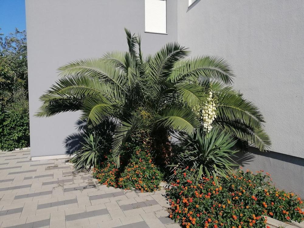 זאטון Apartment Zatonka 2 מראה חיצוני תמונה